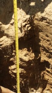 imagen de whatsapp 2025 08 19 a las 21.32.56 0c1a45f5